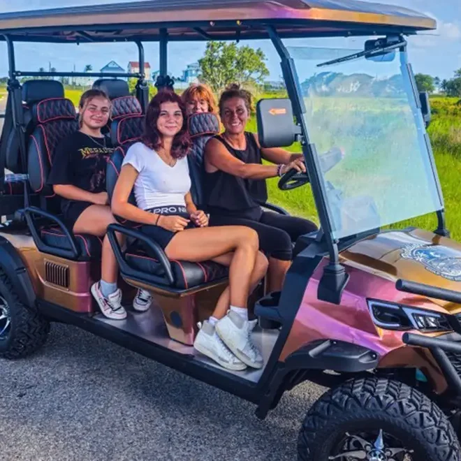 6 seater rental kart