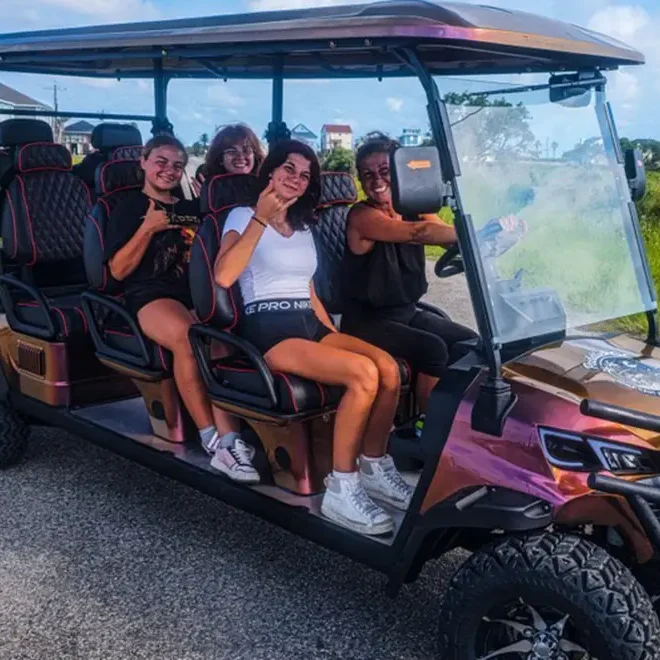 8 seater rental kart